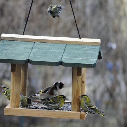 Vogelfutterhӓuser im Garten
